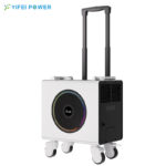 22.4V-100AH-2.24KWH - Image 5